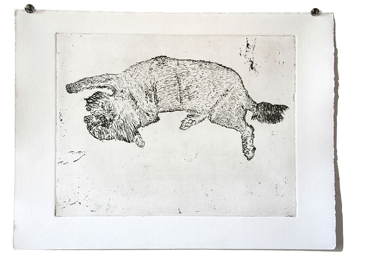 dog etching